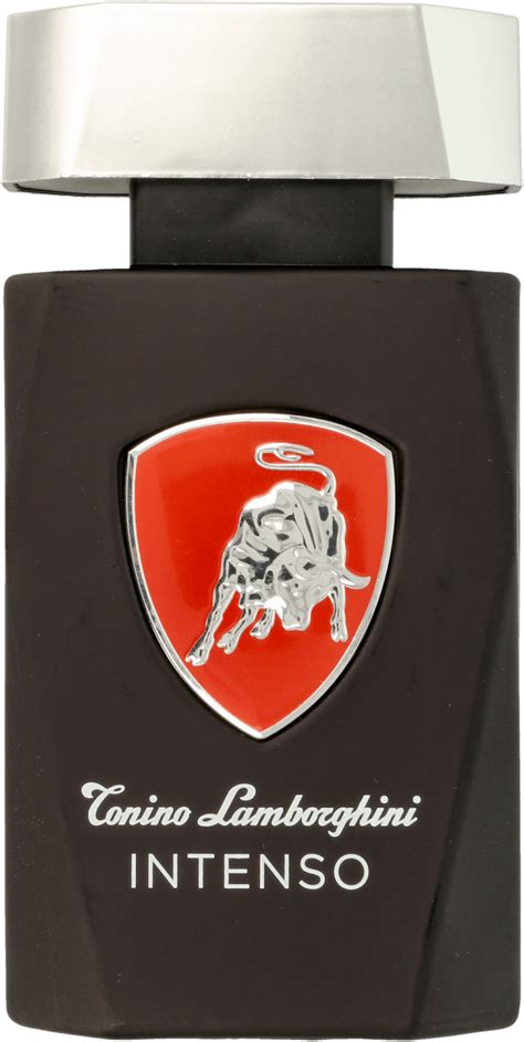 lamborghini parfum rossmann